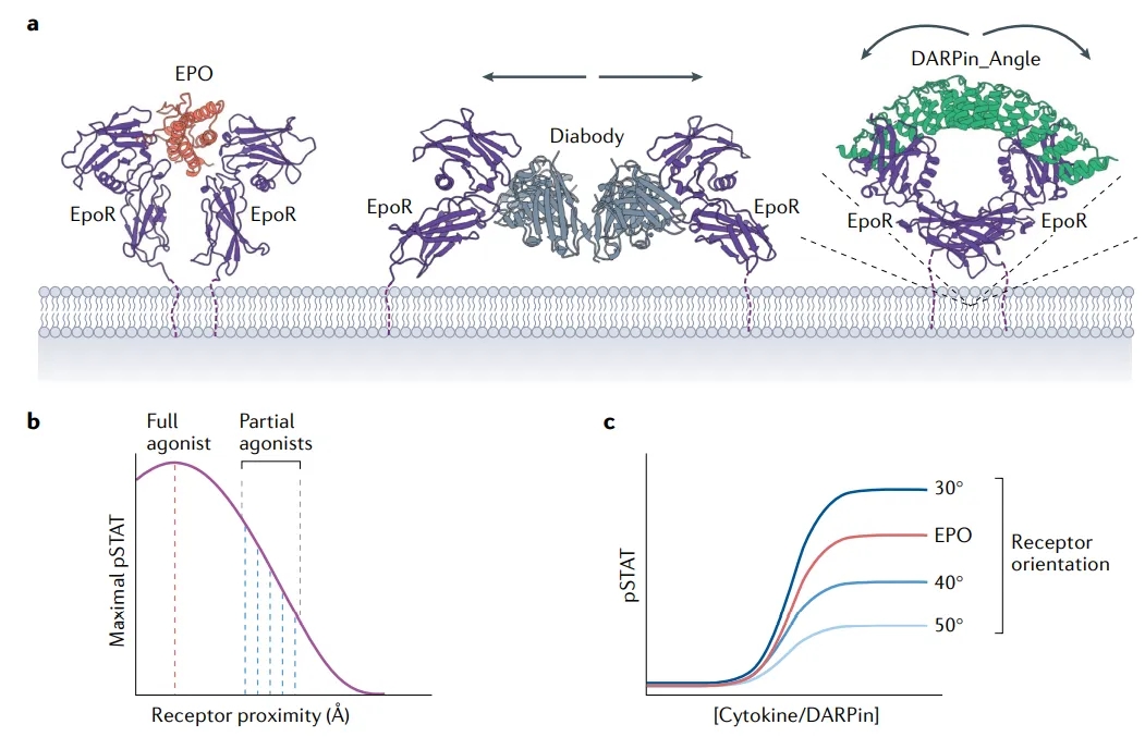 abf1e701d49fc32b68844ec83041d4e0-sz_342752.webp (1).jpg